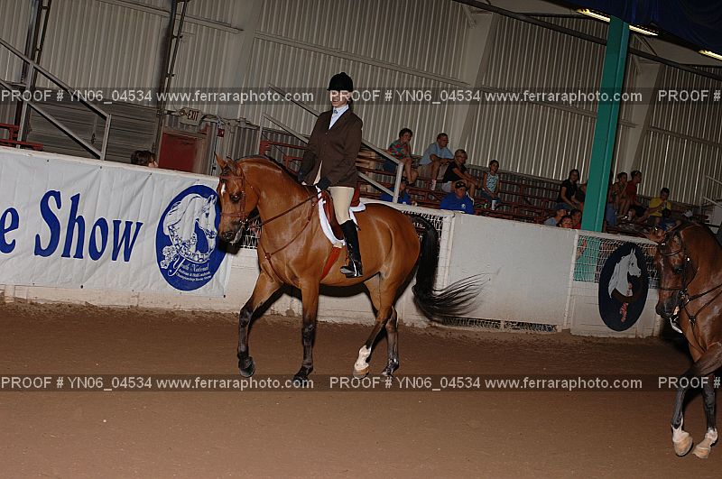 Proof Number YN06_04534