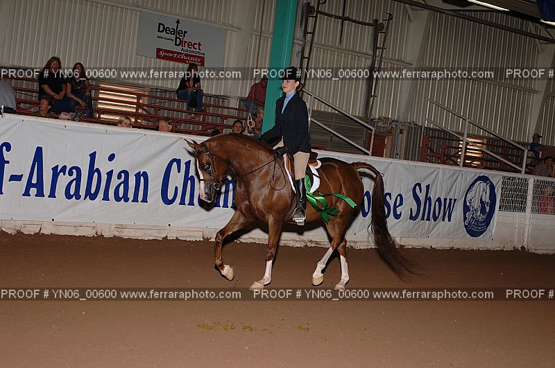 Proof Number YN06_00600