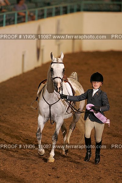 Proof Number YN06_11087
