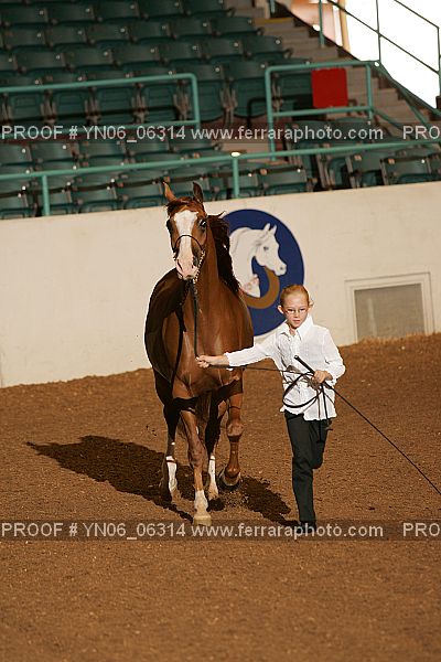 Proof Number YN06_06314