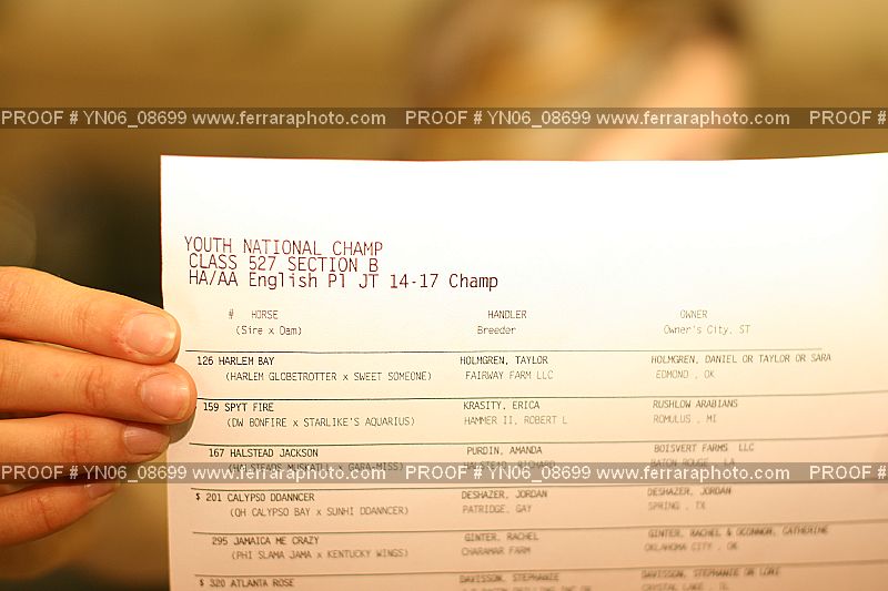 Proof Number YN06_08699