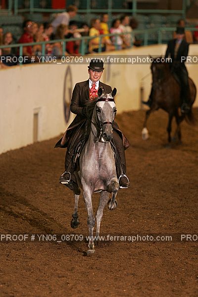 Proof Number YN06_08709