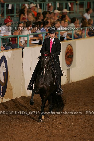 Proof Number YN06_08718