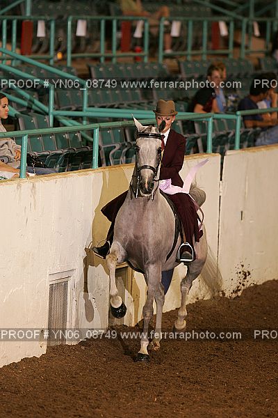 Proof Number YN06_08749