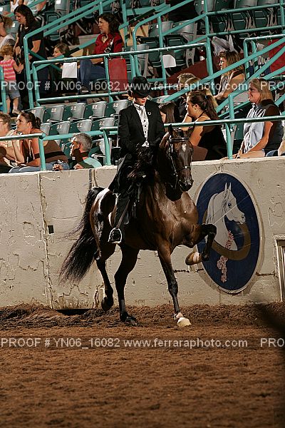 Proof Number YN06_16082