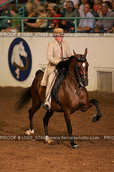 Proof Number YN06_07665