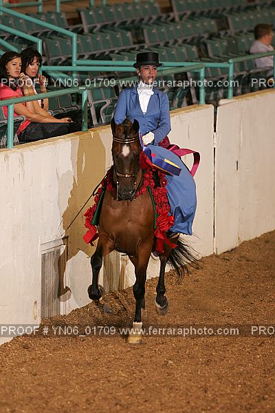 Proof Number YN06_01709