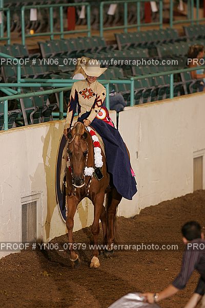 Proof Number YN06_07879