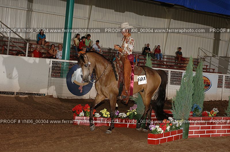 Proof Number YN06_00304