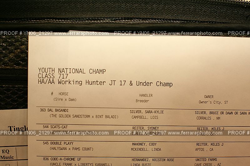 Proof Number YN06_21297