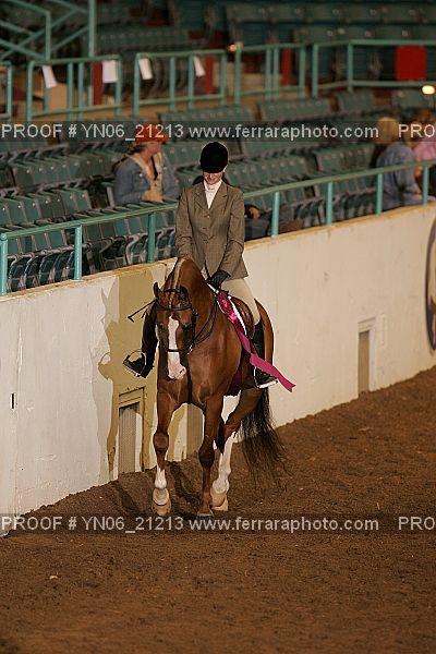 Proof Number YN06_21213
