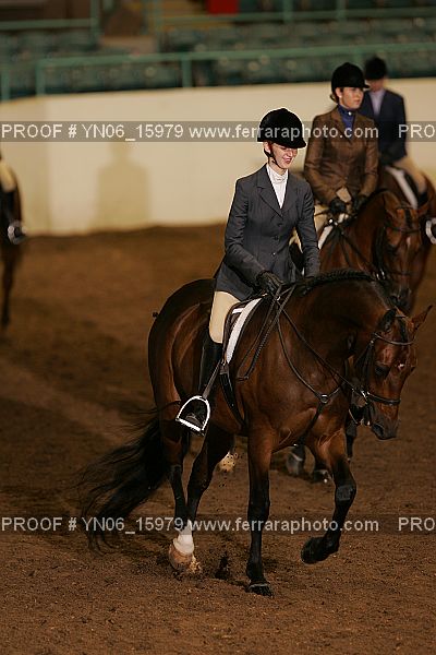 Proof Number YN06_15979