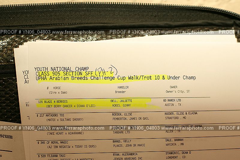 Proof Number YN06_04803