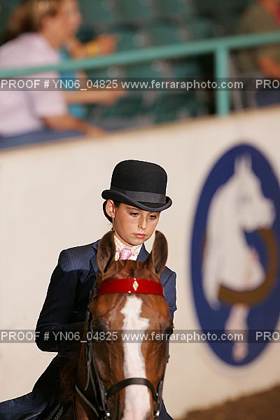Proof Number YN06_04825