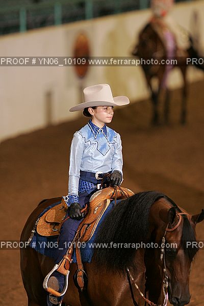 Proof Number YN06_10109