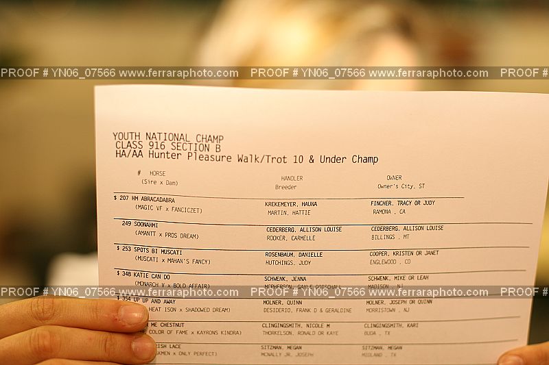 Proof Number YN06_07566