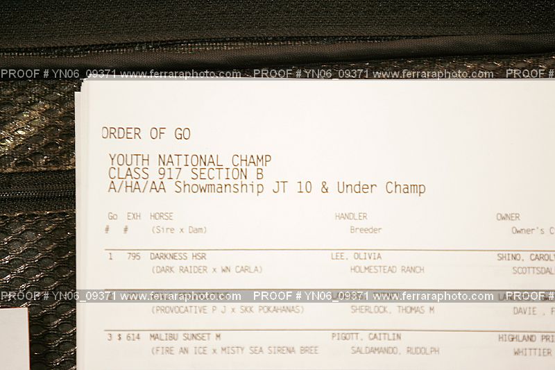 Proof Number YN06_09371