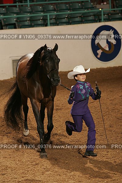 Proof Number YN06_09376