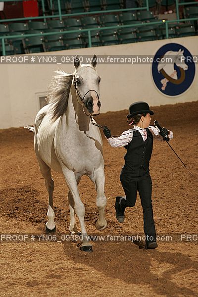 Proof Number YN06_09380