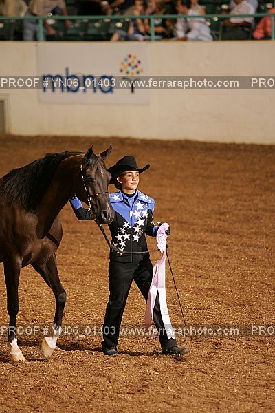 Proof Number YN06_01403