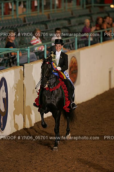 Proof Number YN06_05701