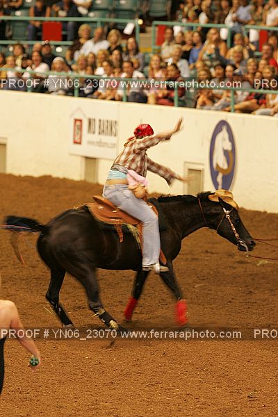Proof Number YN06_23070