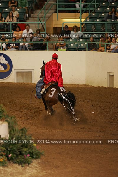 Proof Number YN06_23134