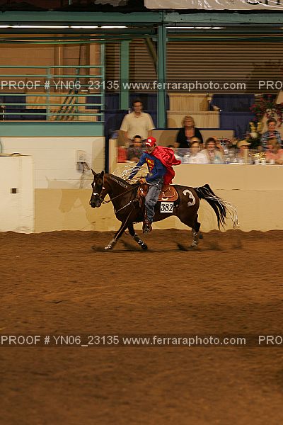 Proof Number YN06_23135