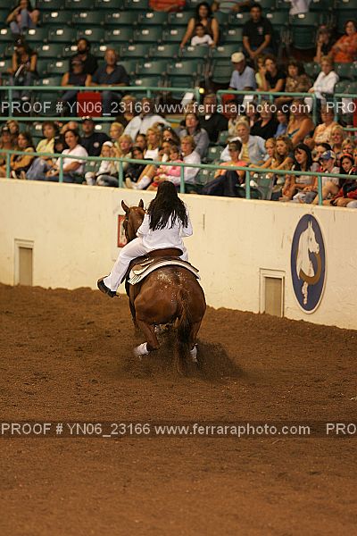 Proof Number YN06_23166