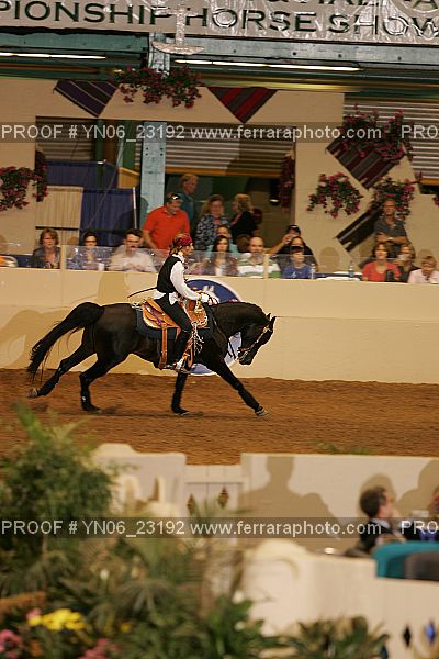 Proof Number YN06_23192