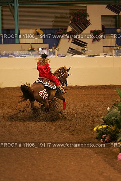 Proof Number YN06_19117