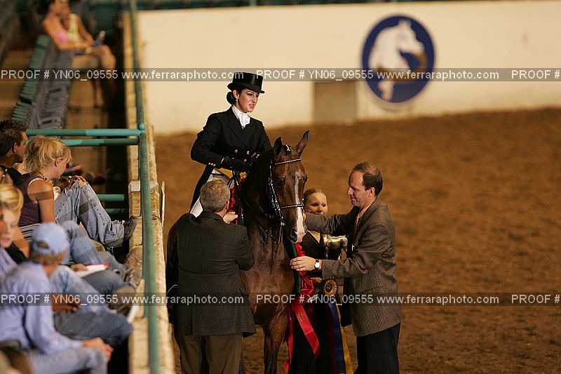 Proof Number YN06_09555