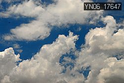 YN06_17647 thumbnail