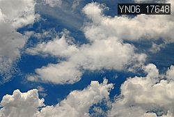 YN06_17648 thumbnail