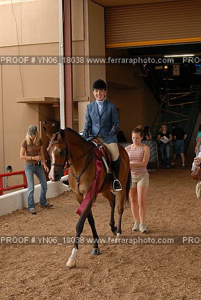 Proof Number YN06_18038