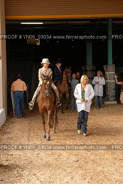 Proof Number YN06_03034