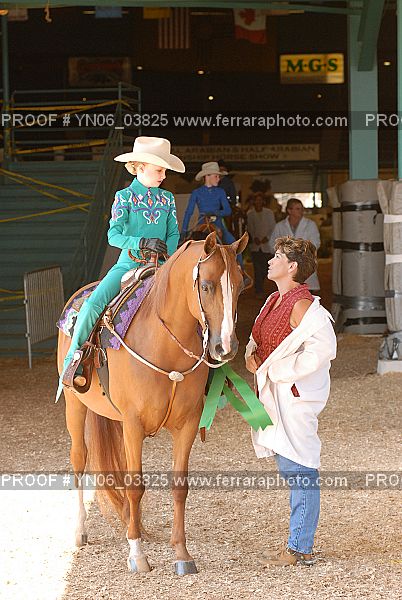 Proof Number YN06_03825