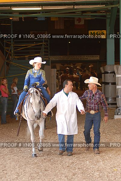 Proof Number YN06_03865