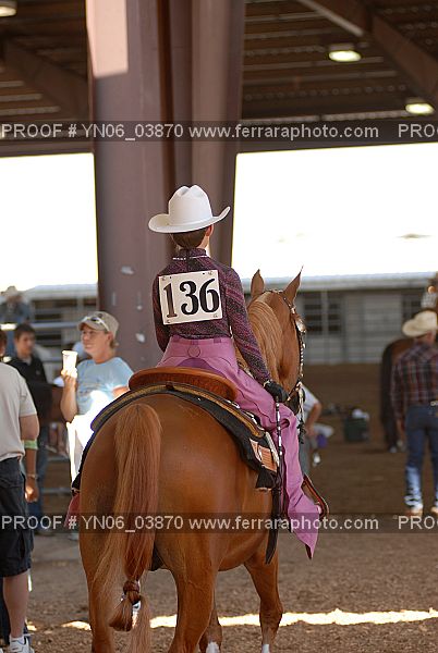 Proof Number YN06_03870