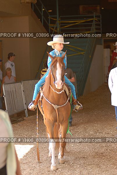 Proof Number YN06_03896