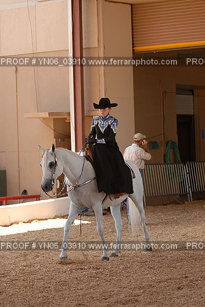Proof Number YN06_03910