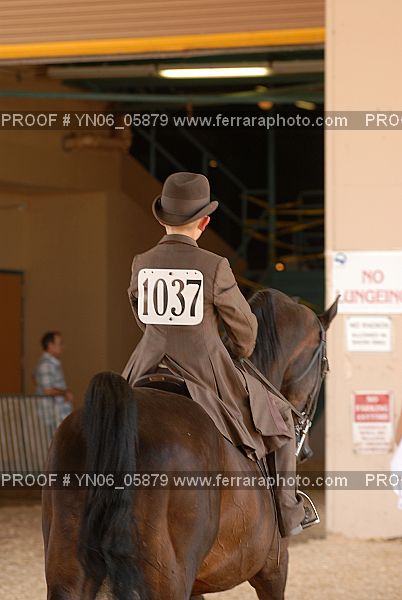 Proof Number YN06_05879