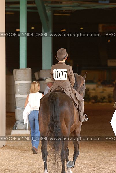 Proof Number YN06_05880
