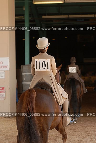 Proof Number YN06_05882