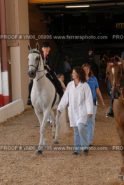 Proof Number YN06_05895