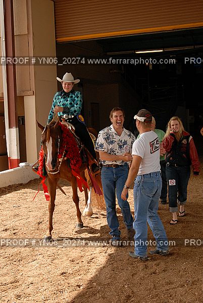 Proof Number YN06_20274
