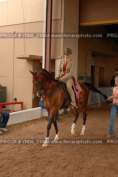 Proof Number YN06_21664