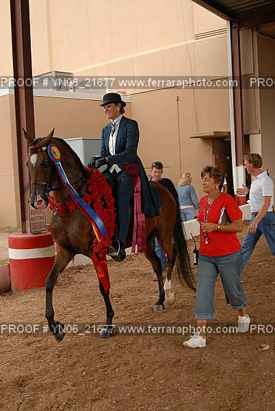 Proof Number YN06_21677