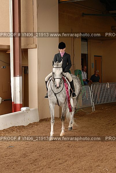 Proof Number YN06_21913