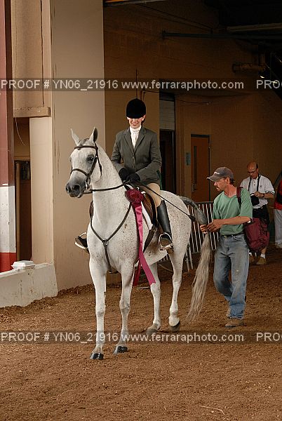 Proof Number YN06_21916